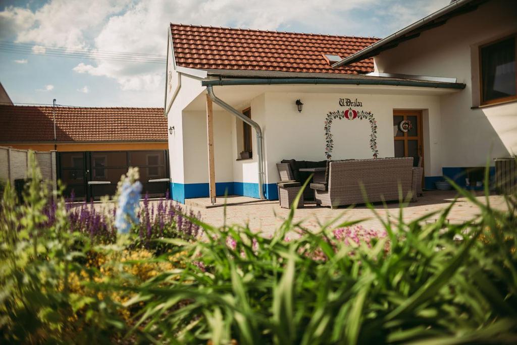 Apartman U Draba: Ubytovani Na Slovacku V Miloticich U Kyjova Milotice Exterior foto