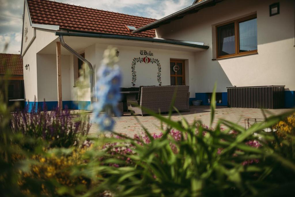 Apartman U Draba: Ubytovani Na Slovacku V Miloticich U Kyjova Milotice Exterior foto